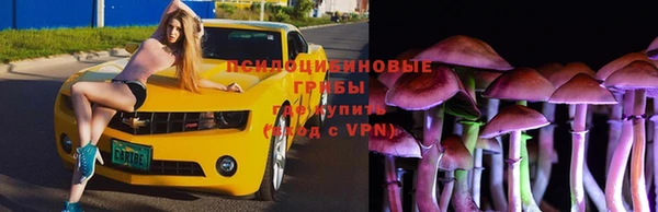 трава Алзамай